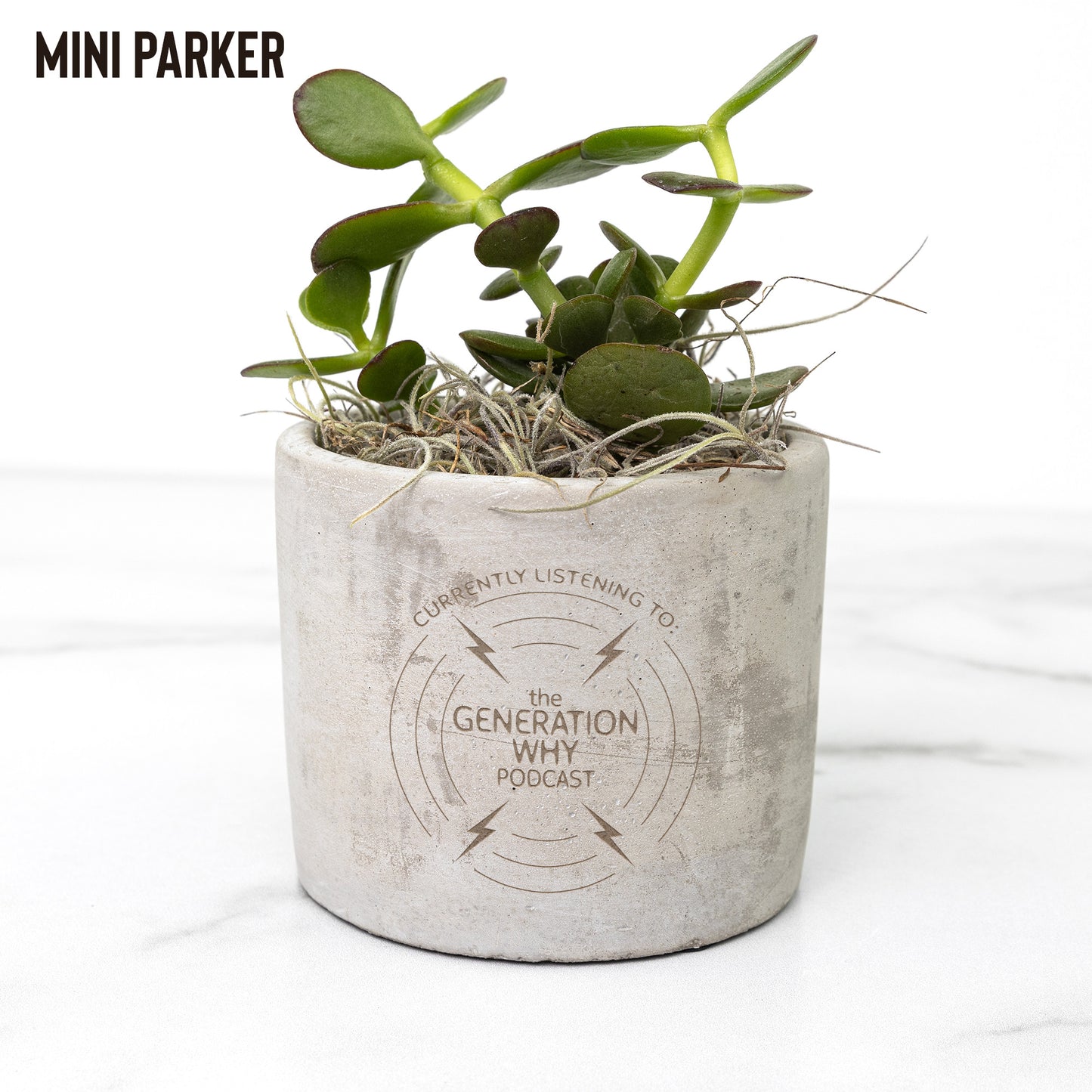 Currently Listening Office Plant