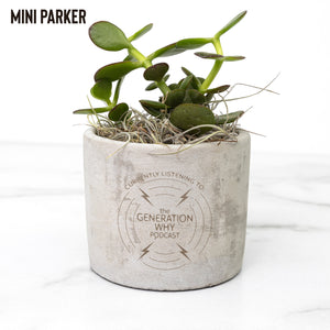 Currently Listening Office Plant
