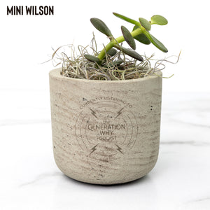 Currently Listening Office Plant